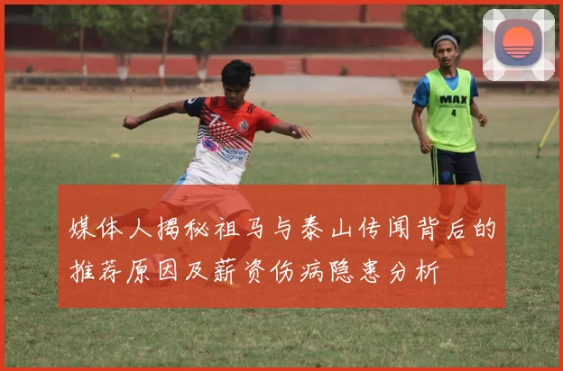 媒体人揭秘祖马与泰山传闻背后的推荐原因及薪资伤病隐患分析
