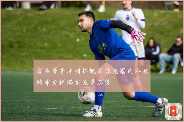 摩洛哥夺非洲杯概率领先塞内加尔赔率分析揭示竞争态势